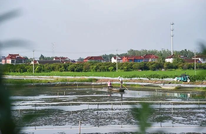 都市乡村生态农业